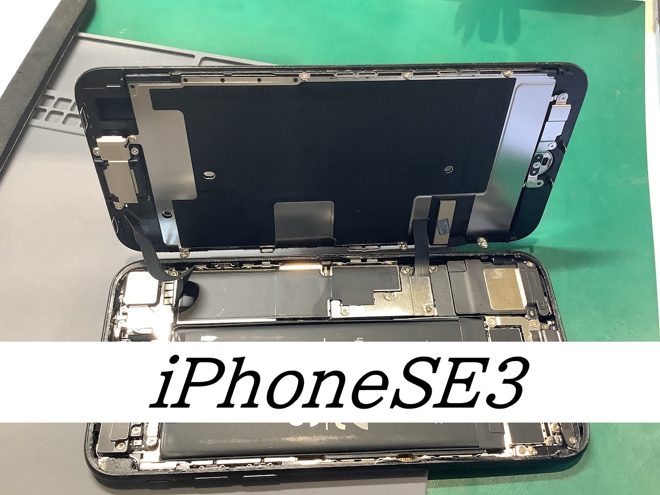 iPhoneSE3のバッテリー交換ならデータをそのまま・最短即日修理のスマホ修理工房八王子オクトーレ店へ